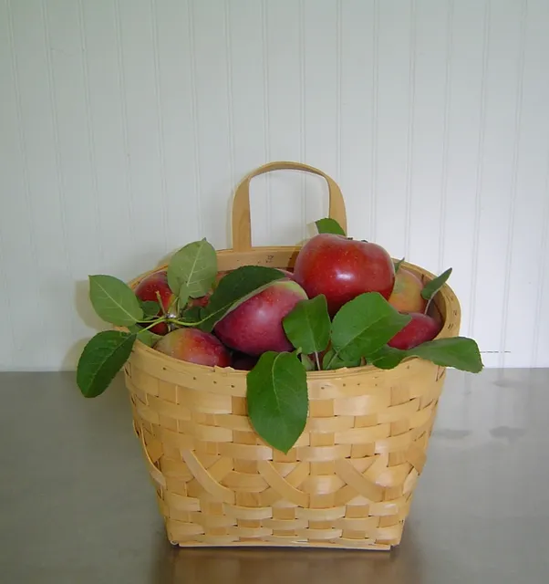 Debbie Meyer® GreenBags® | 20pc Set - 10 Med., 10 Lrg.